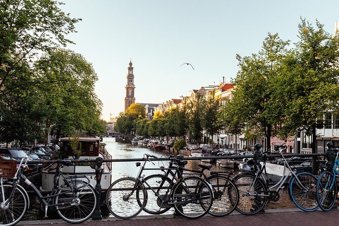 Amsterdam Private Tour: Highlights & Hidden Gems by Bike or Foot - Art-history near Rembrandt’s house: the statue story you might miss alone