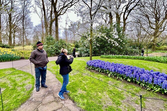 Amsterdam Private Tour to Keukenhof, Tulip Fields and Windmills - Weather, cameras, and comfort tips that save the day