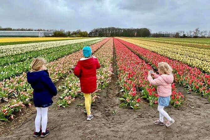 Amsterdam Private Tour to Keukenhof, Tulip Fields and Windmills - Keukenhof highlights: more than just pretty flowers