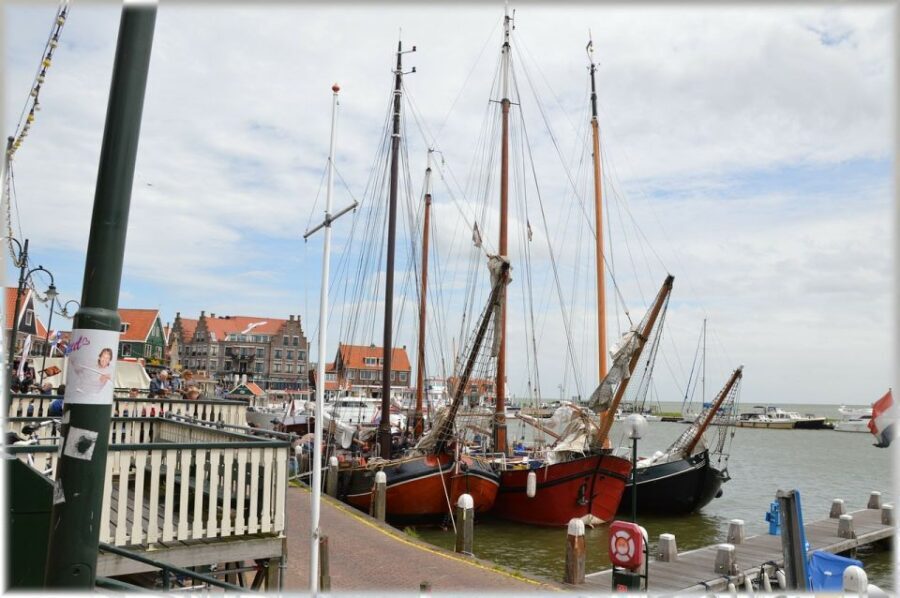 Amsterdam: Private Zaanse Schans Windmills and Volendam Trip - Henri Willig Kaas BV: Cows, Baby Calves, and Free Cheese Tasting