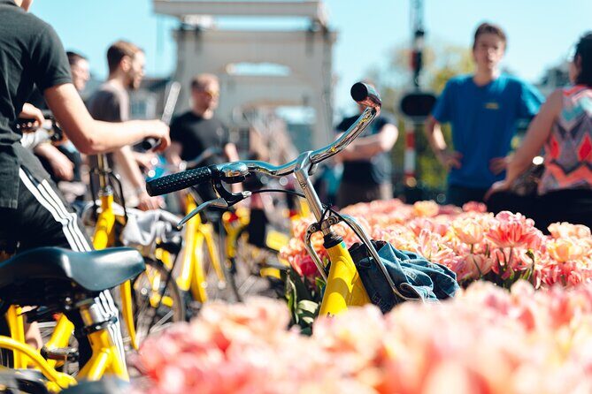 Amsterdam Small Group Bike Tour - Quick hits you’ll care about
