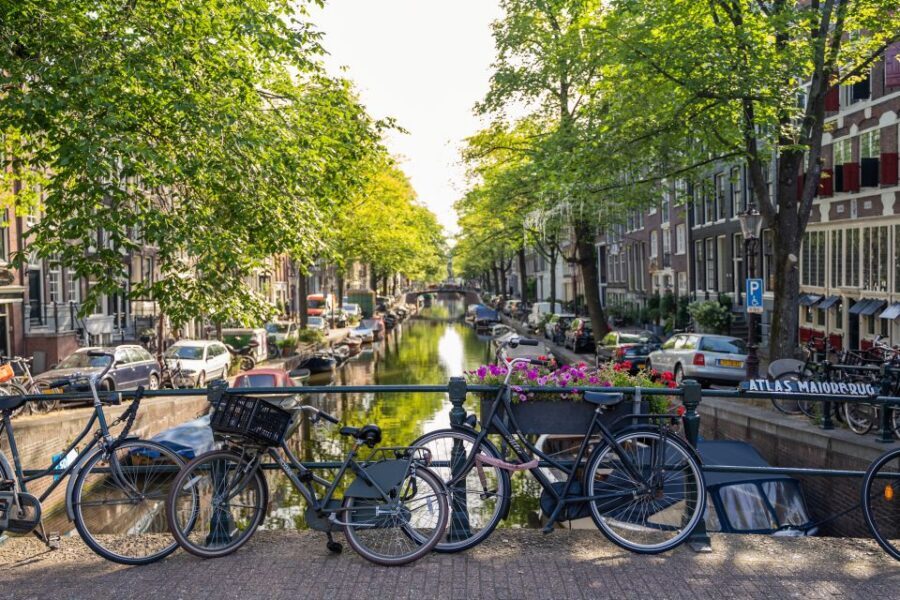 Amsterdam Small-Group Walking Tour - What stands out on this Amsterdam Small-Group Walking Tour