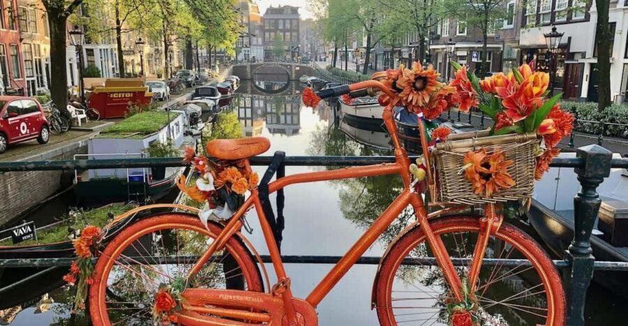 Amsterdam: Small Group Walking Tour with Fun Guide - Key Highlights You’ll Feel Right Away