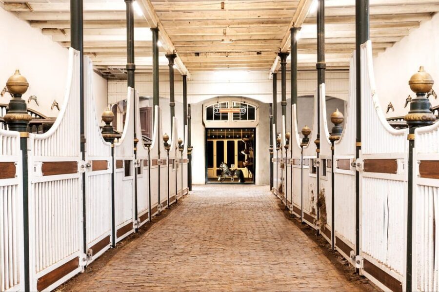 Amsterdam: The 'Hollandsche Manege' Stables Entry Ticket - Ticket value at around $18: what you actually get
