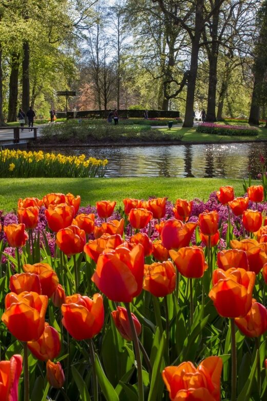 Amsterdam: Tour to Keukenhof Gardens with Windmill Cruise - How this Amsterdam-to-Keukenhof day trip really feels
