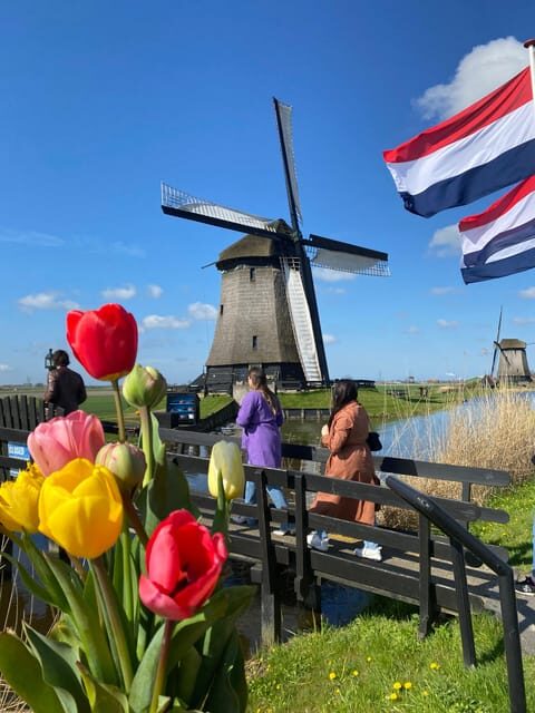 Amsterdam: Tulip Fields Day Tour with Lunch & Windmill - Key highlights worth showing up for