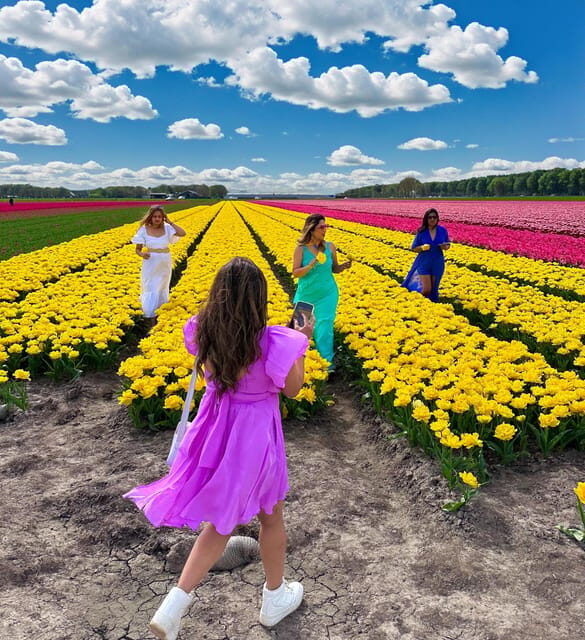Amsterdam: Tulip Fields Day Tour with Lunch & Windmill - A Tulip Day That Feels Like the Real Thing