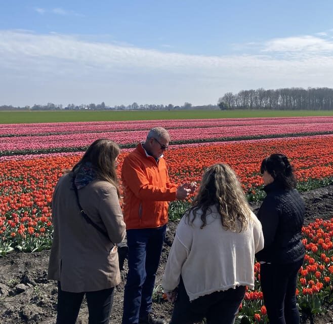 Amsterdam: Tulip Fields Day Tour with Lunch & Windmill - Walk Three Tulip Fields, Not Just One Big Stop
