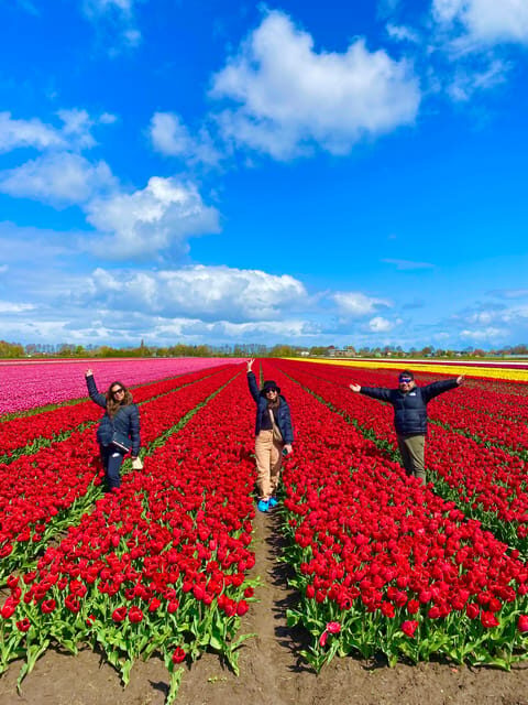 Amsterdam: Tulip Fields Day Tour with Lunch & Windmill - Historic Windmills From 1633: Going Inside and Meeting the Miller