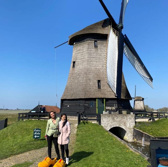 Amsterdam: Tulip Fields Day Tour with Lunch & Windmill - Pace, Group Size, and Coach Comfort