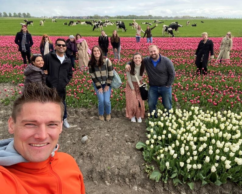Amsterdam: Tulip Fields Day Tour with Lunch & Windmill - Who This Tour Fits Best