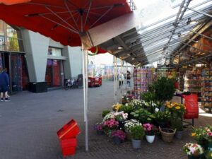 Amsterdam Walking Tour and Canal Cruise - Starting Point and Getting Oriented Fast Near Central Station