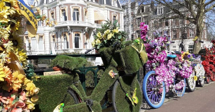 Amsterdam Walking Tour and Canal Cruise - Street Market Stop: Browse, Pick, and Feel the City’s Daily Rhythm