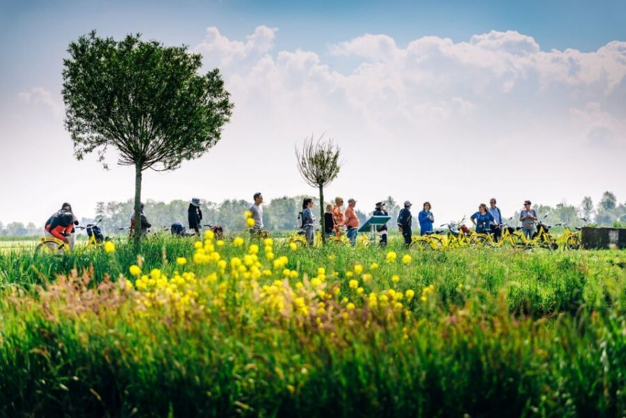 Amsterdam: Waterland District Countryside Villages Bike Tour - Should you book this Waterland bike tour?