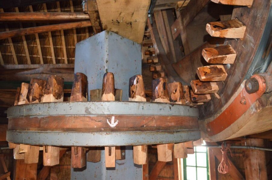 Amsterdam: Windmill Guided Tour - Who This Tour Suits Best (and Who Might Want Something Else)