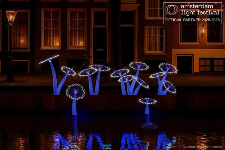 Amsterdam Winter Walking Tour - City Center Sights and Spui Square’s Cozy Terraces