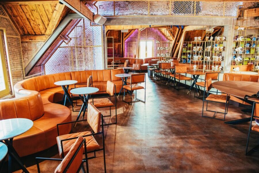Amsterdam's Weirdest Museum: Believe It or Not! - Who should book this and who might skip it