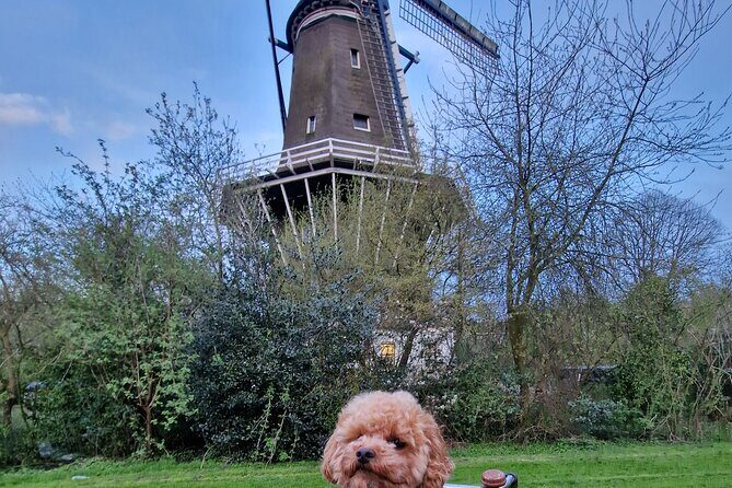 Bill's Bike Tour Amsterdam - Culture, Liberalism & Tolerance - Molen De Bloem: windmills, drainage, and living below sea level