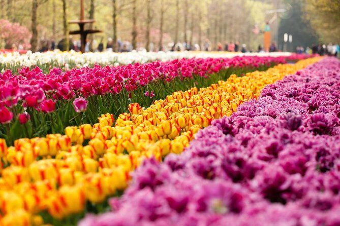 Day Trip to Keukenhof Gardens from Amsterdam with Tour Guide - Keukenhof from Amsterdam: what the 5-hour plan really feels like