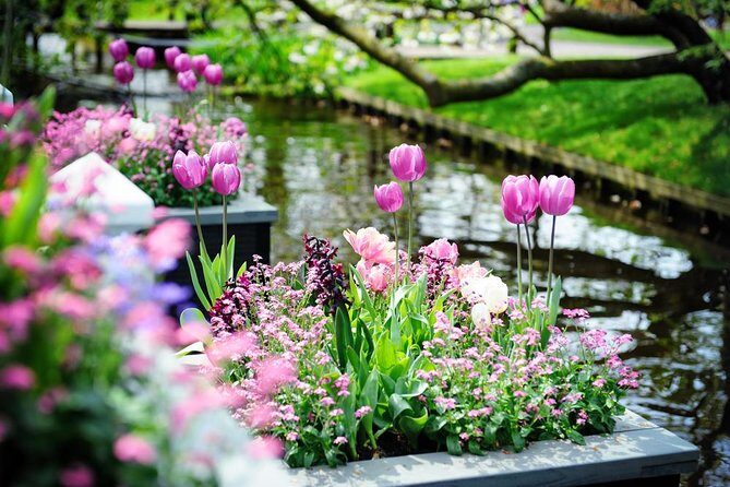 Day Trip to Keukenhof Gardens from Amsterdam with Tour Guide - Your 3 hours of free time: how to avoid feeling rushed