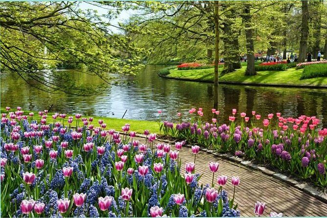 Day Trip to Keukenhof Gardens from Amsterdam with Tour Guide - The coach ride: comfort, timing, and what the drive is for