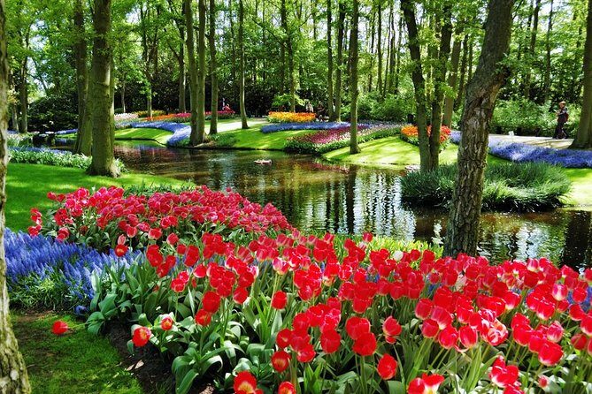 Day Trip to Keukenhof Gardens from Amsterdam with Tour Guide - Crowds and weather: the two real things that shape your day