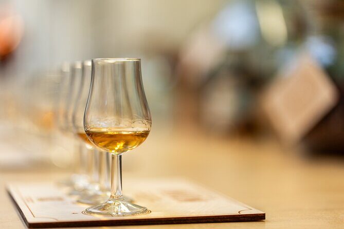Distillery Tour & Rum Tasting @Spirited Union Rum Co. (Amsterdam) - Union bar time: cocktails, highballs, and nonalcoholic options