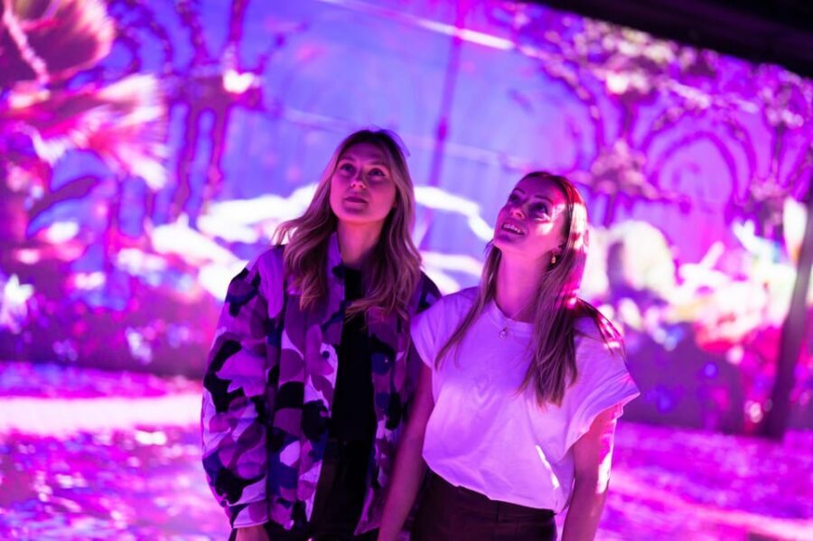 Eindhoven: Motion Experience Light Art Playground Ticket - Light Installations That Actually Invite You In