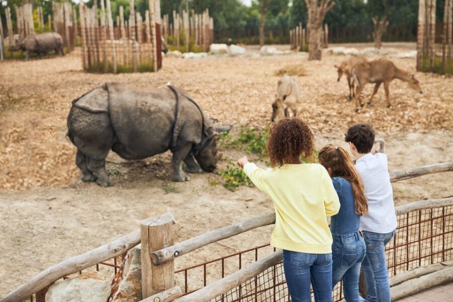 Eindhoven Zoo Entry Ticket - Where the Day Becomes Real: Lions, Tigers, Rhinos, and Bears