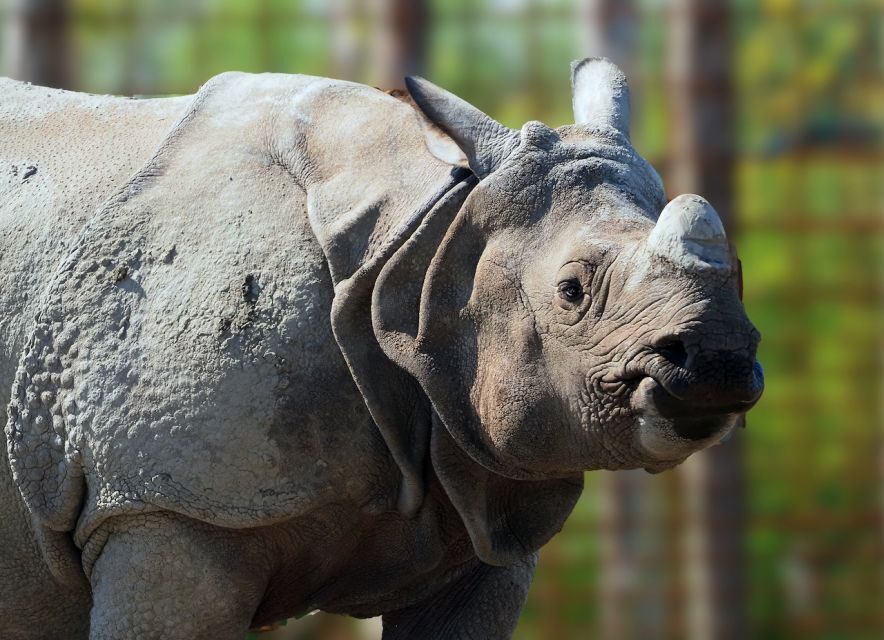 Eindhoven Zoo Entry Ticket - Elephants, Chimpanzees, and the Fun Stops You Might Not Expect