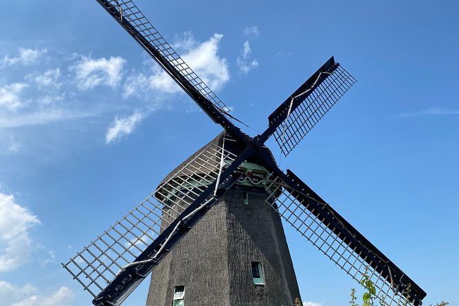Escape Amsterdam: E-Bike to Zaanse Schans Windmills & Zaandam - Zaanse Schans: Your Main Hour-and-15 for Windmills and Food
