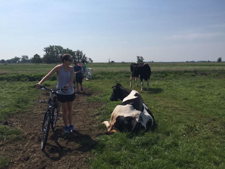 From Amsterdam: Countryside Bike Tour - Ferry to North Holland: getting out of the city fast