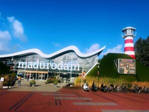 From Amsterdam: Day Tour to Rotterdam, Delft and The Hague - Rotterdam’s port-and-rebuild story: Markthal, Cube Houses, and Sint-Laurenskerk