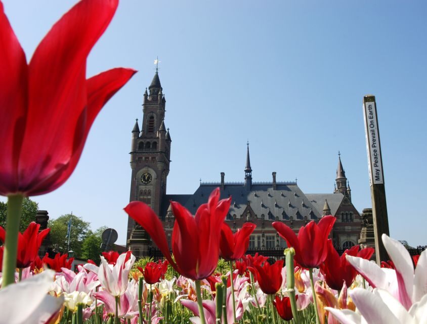 From Amsterdam: Guided Trip to Rotterdam, Delft & The Hague - South Holland in 9 hours: why this day trip clicks