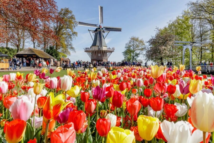 From Amsterdam: Keukenhof and Dutch Countryside Tour - Marken and wooden shoes: the clog-making demonstration is where craft becomes real