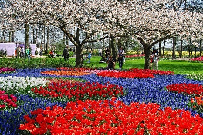 From Amsterdam: Keukenhof Gardens Ticket and Transfer - Skip the Lines at Keukenhof: Your 3-Hour Flower Window