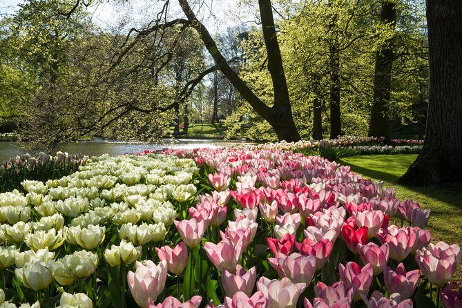 From Amsterdam: Keukenhof Gardens Ticket and Transfer - Gardens Late in the Season: What You Might See