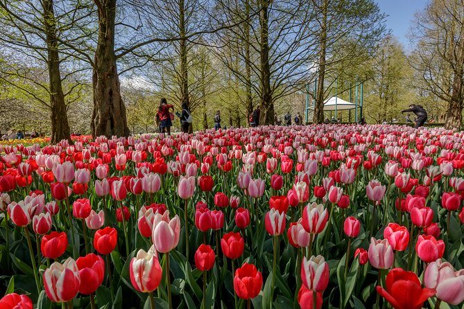 From Amsterdam: Keukenhof Gardens Ticket and Transfer - Who This Trip Suits Best (And Who Might Want Another Option)