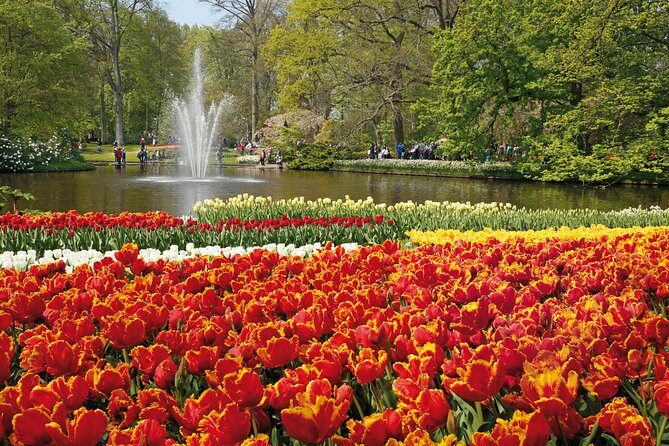 From Amsterdam: Keukenhof Gardens Ticket and Transfer - Should You Book This Keukenhof Transfer and Ticket?
