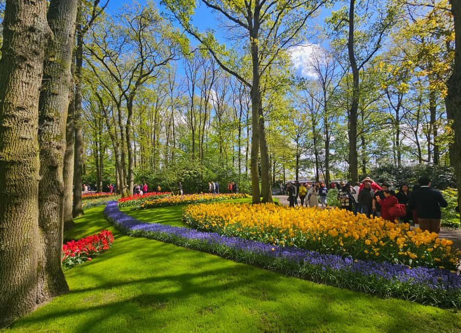 From Amsterdam: Tulip Tour Keukenhof & City Tour Delft - Price and value: what $169 gets you, and what it doesn’t
