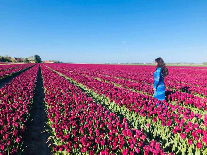 From Amsterdam: Tulip Tour Keukenhof & City Tour Delft - From Amsterdam pickup to Keukenhof: timing, comfort, and expectations