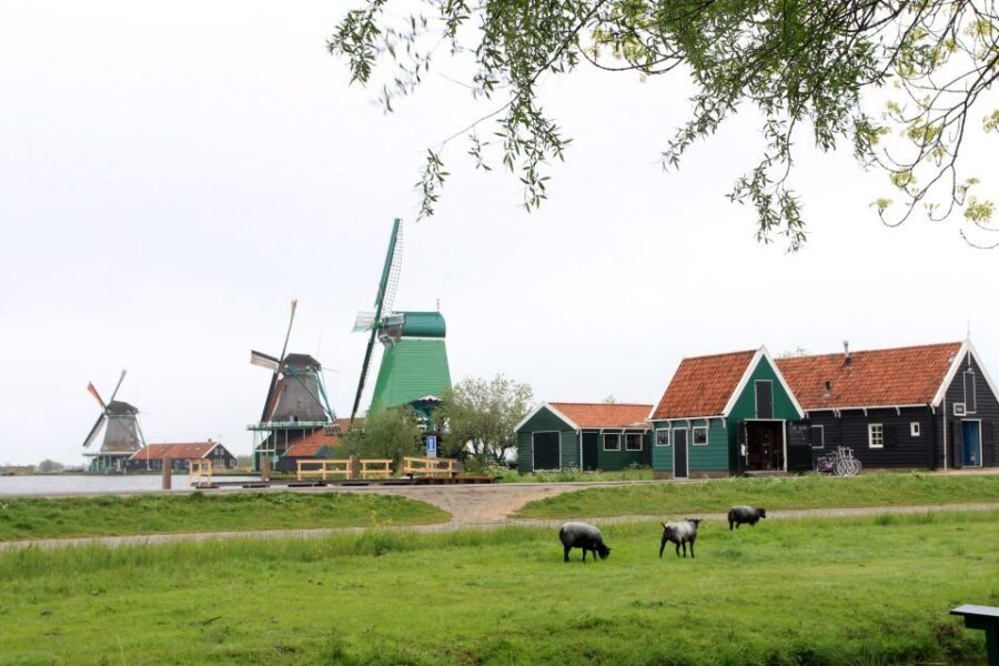 From Amsterdam: Windmills of Zaanse Schans Tour - Price and value: is $29 a good deal for this 5-hour tour?