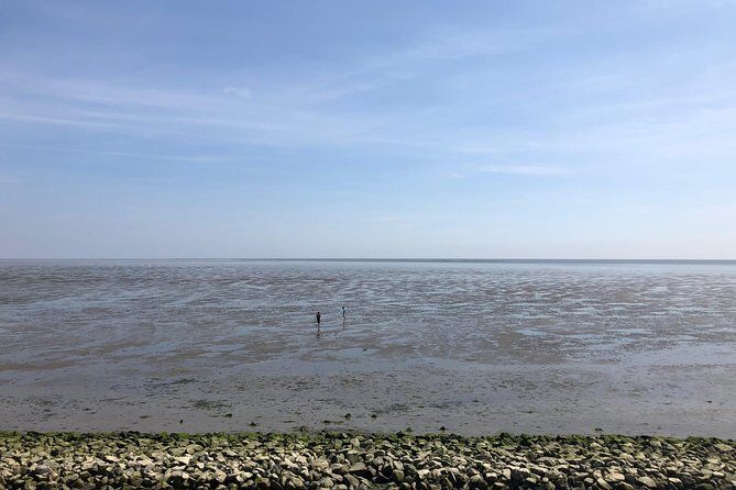 Full day tour to Texel - Friesian Islands - from Amsterdam - Drinks included, but food plan depends on your day