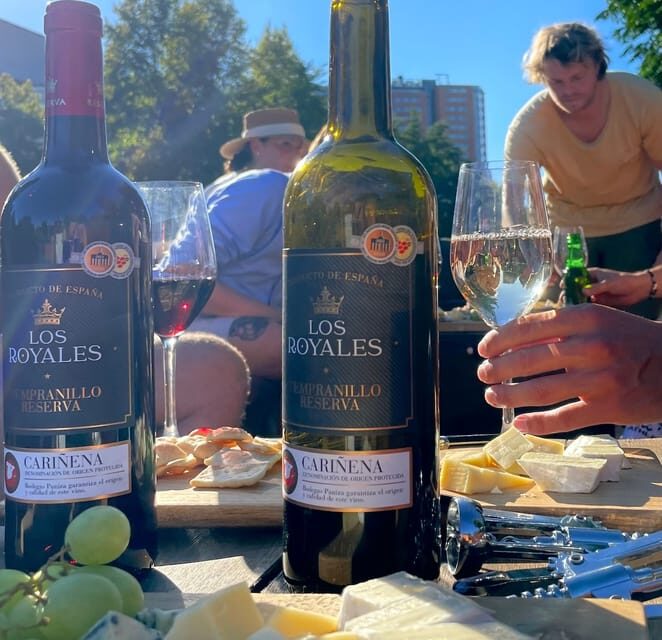 Groningen: Evening Cheese and Wine cruise - Cheese, Wine, and the Right Kind of Relaxation