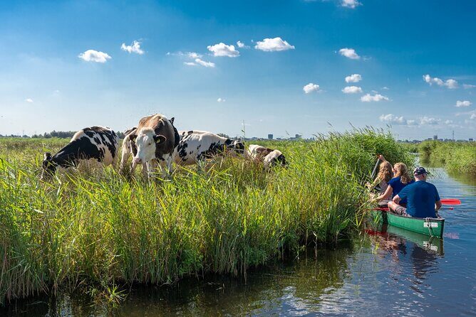 Guided Canoe Adventure with Picnic Lunch in Waterland from Amsterdam - Key takeaways before you go