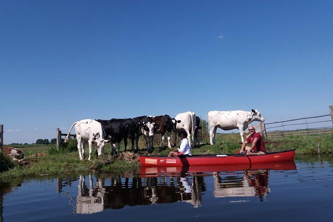 Guided Canoe Adventure with Picnic Lunch in Waterland from Amsterdam - Who this tour suits best (and who should think twice)