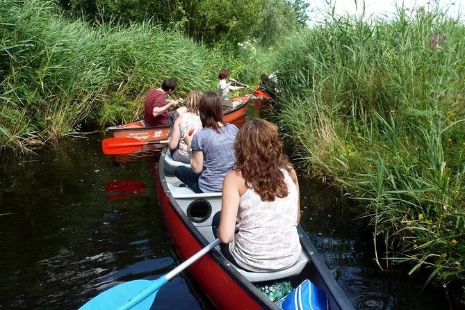 Guided Canoe Adventure with Picnic Lunch in Waterland from Amsterdam - Small-group vibe, meeting spot, and getting to the wetlands