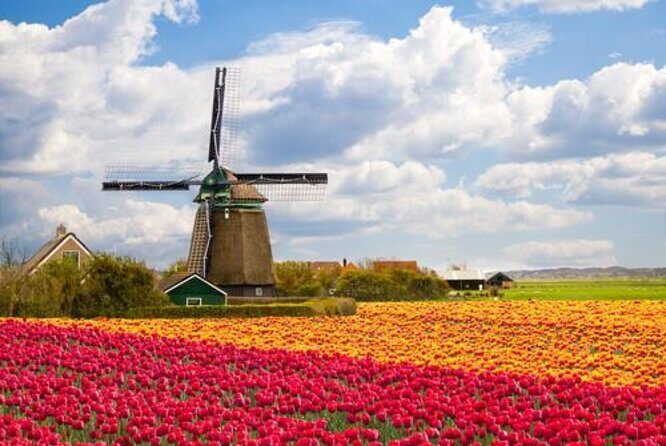 Guided Day Trip - Volendam, Zaanse Schans, Marken & Edam - Getting started in Amsterdam: where to meet and how the day flows