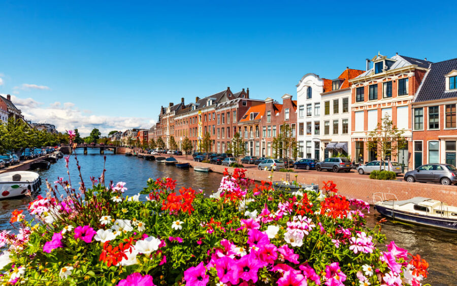 Haarlem Highlights Bike Tour - Who this Haarlem bike tour is best for