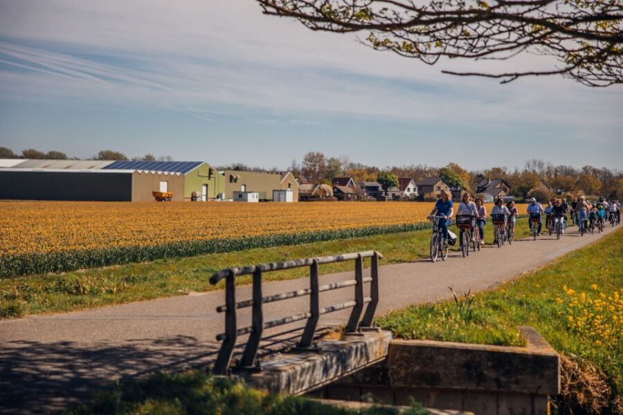 Keukenhof: Flower Fields Small-Group Cultural Bike Tour - Why Keukenhof-area cycling feels like the real Holland